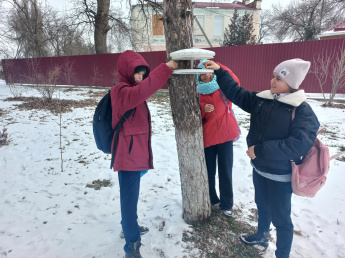 «Птичья столовая»