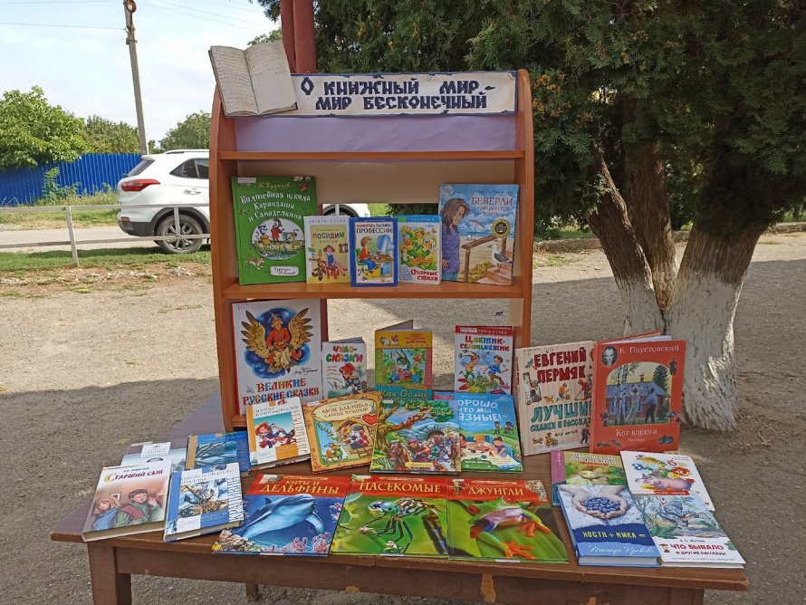 «О книжный мир, мир бесконечный»