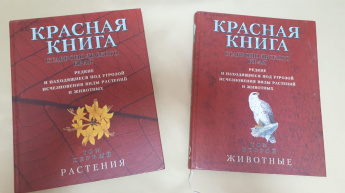 Познавательный час «По страницам Красной книги Ставрополья»