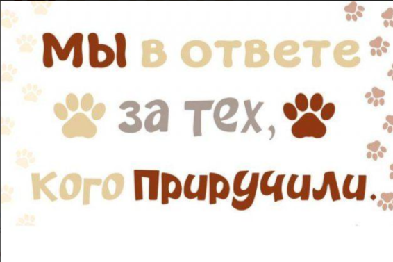 «Мы в ответе за тех, кого приручили»