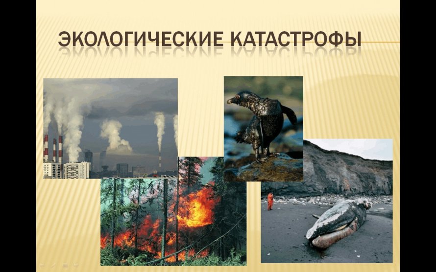 «Экологические катастрофы мира»