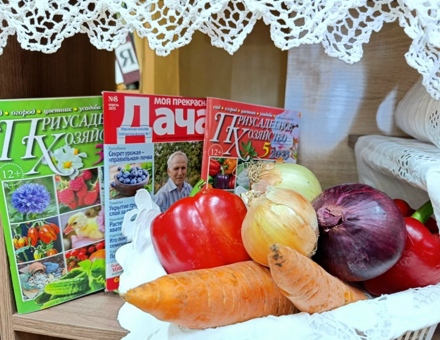 ОВОЩИ и ФРУКТЫ: полезные продукты!