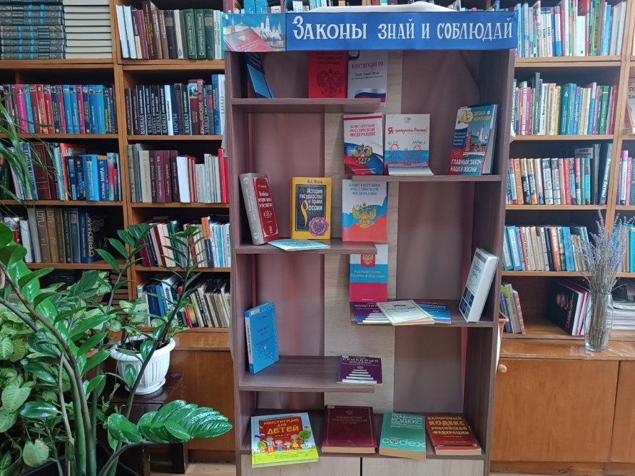 «Конституция - основной закон страны»