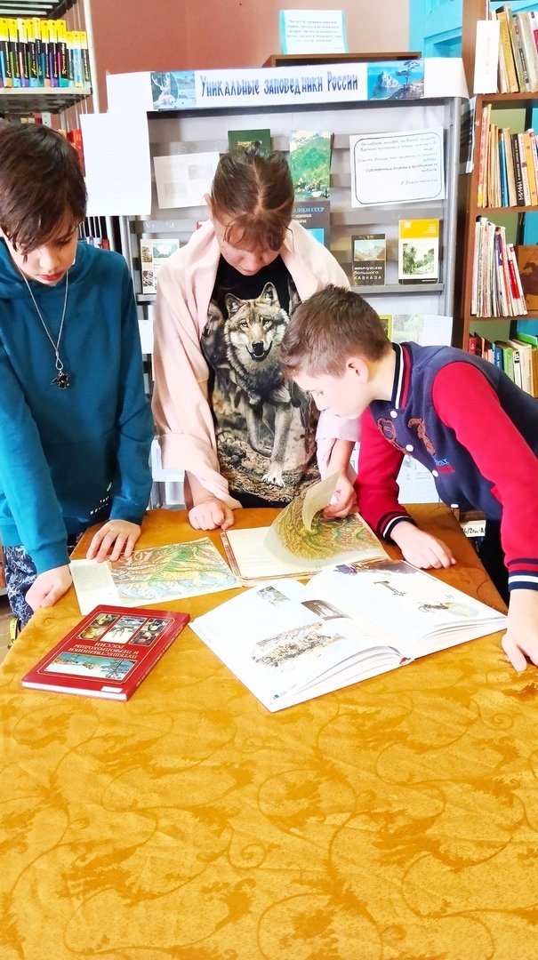 Книжно-иллюстративная выставка «Уникальные заповедники России»